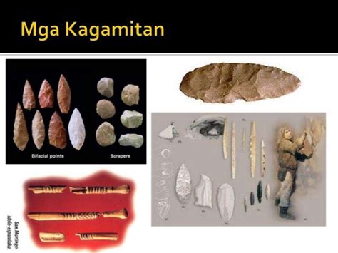 Nadisvirgin Ang Bagong Sibol na Bagito.